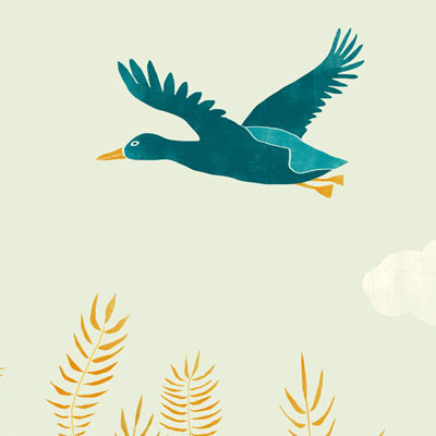Illustratie van een eend vliegend boven een rietkraag voor het e-book  'Tussen oevers van fluitenkruid'