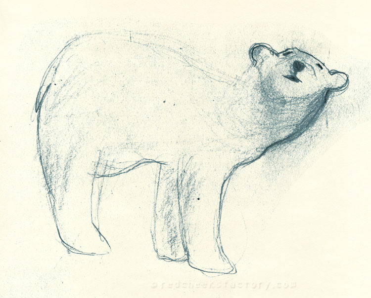 Polar Bear study from mu sketchbook 3